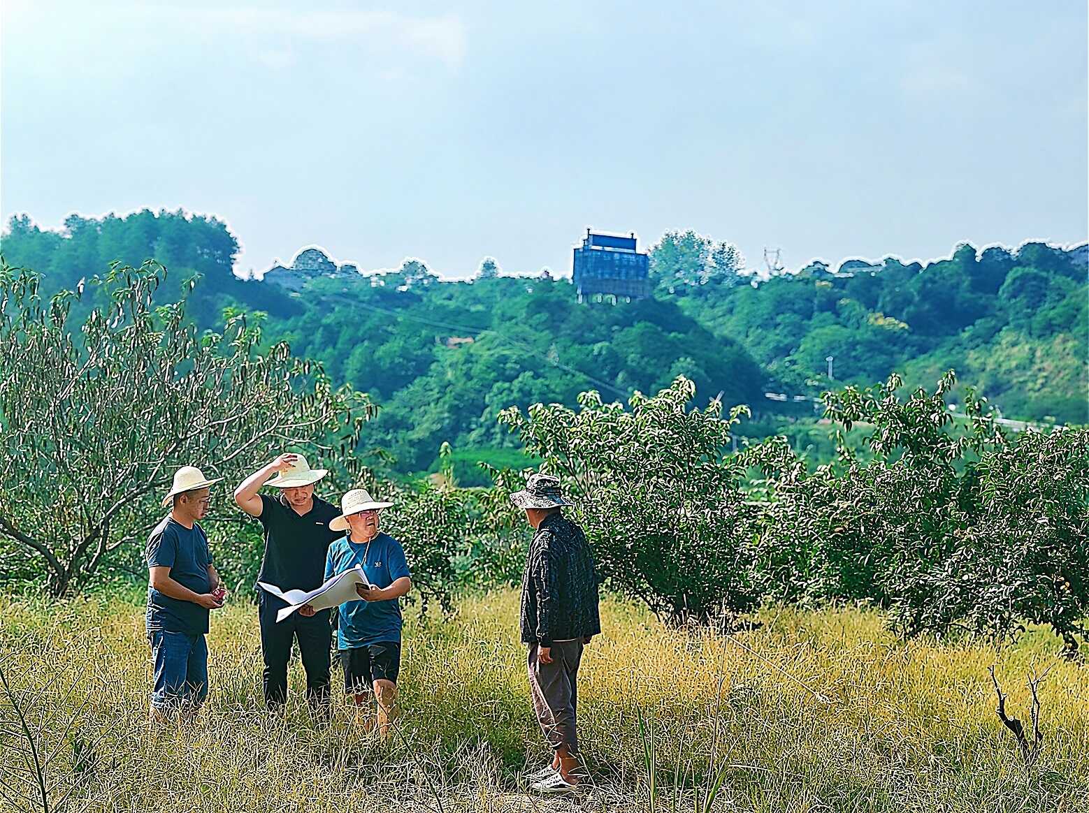 W020250126607859546295 W020250126607859546295