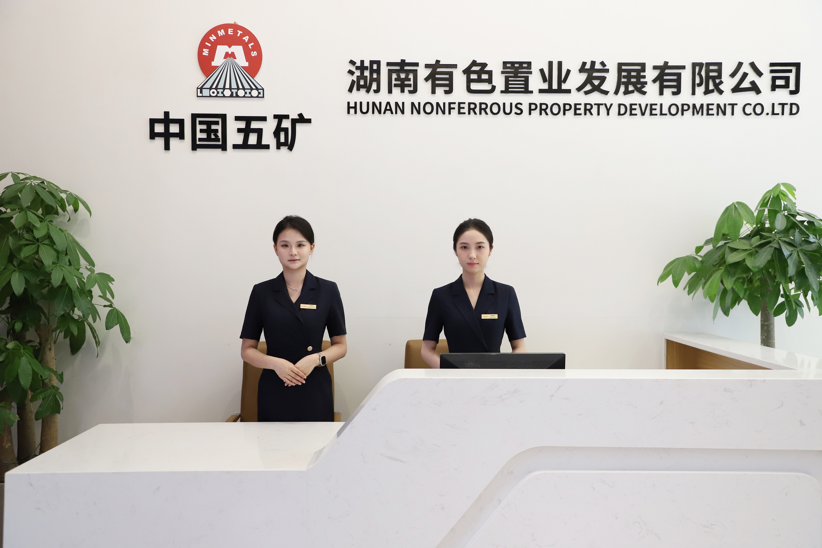 W020240603565304800055