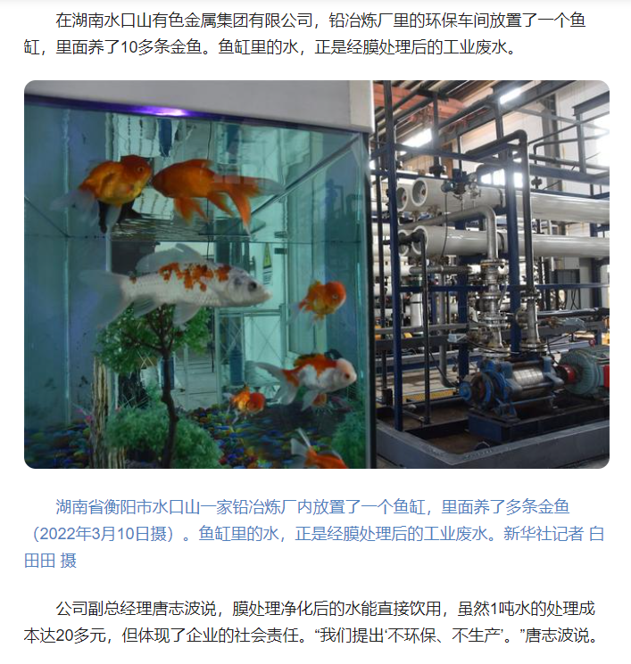 W020220818410732323389