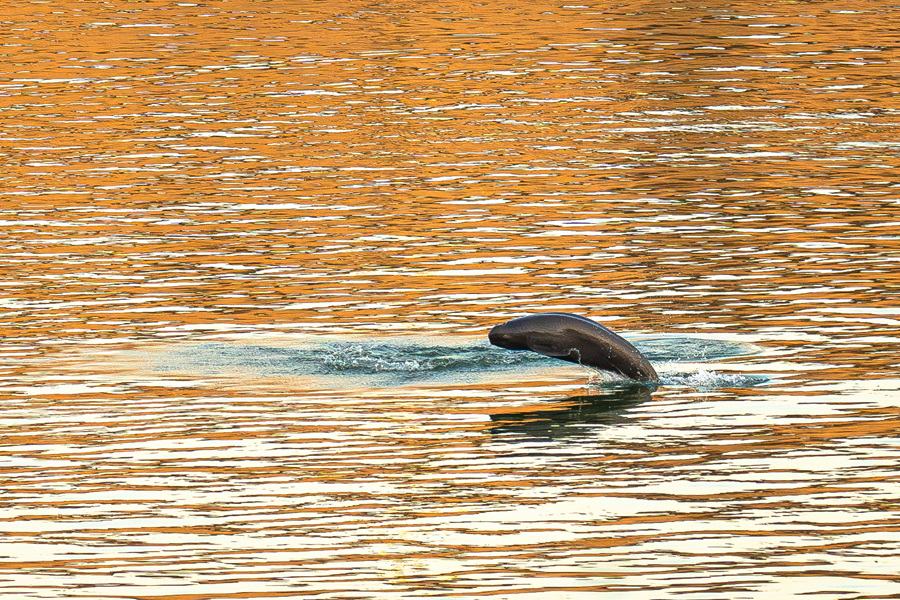 �ط�7790(�й���)���Ӽ���-����ƽ̨��¼���